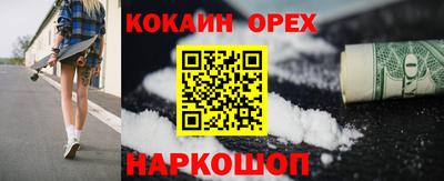 крисы Будённовск