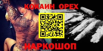крисы Будённовск