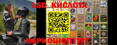 крисы Будённовск