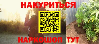 крисы Будённовск