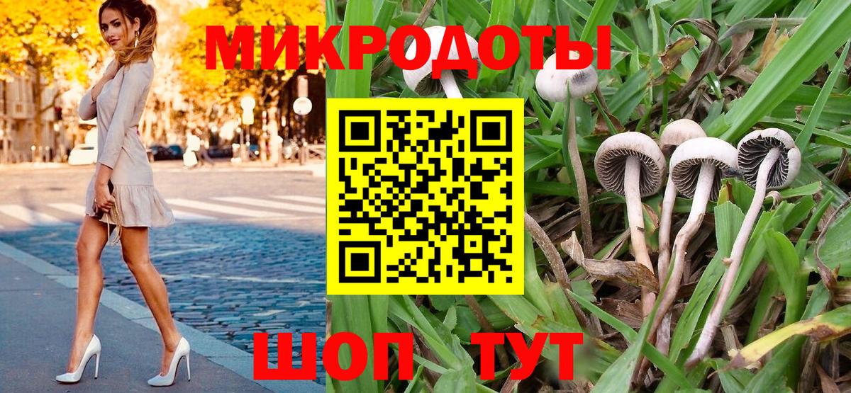 Галлюциногенные грибы мицелий  Вход с VPN  Псилоцибиновые грибы Psilocybe  Саратов 