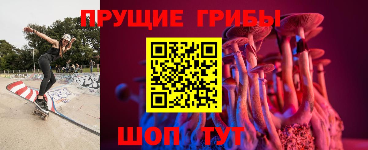 Псилоцибиновые грибы прущие грибы Саратов